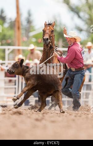 Cheyenne, Wyoming, USA. 26th July, 2015. Steer roper Robert Mathis during the Steer Roping finals at the Cheyenne Frontier Days rodeo in Frontier Park Arena July 26, 2015 in Cheyenne, Wyoming. Stock Photo