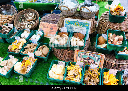 Mushrooms. Portobello Road Market. London, England, United Kingdom, Europe. Stock Photo