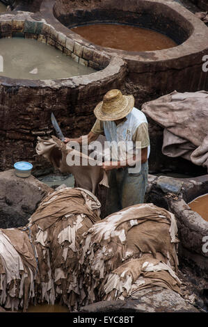 Dyeworks, tanners' and dyers' quarter Chouwara in the historic centre Fez el Bali, Fes, Morocco Stock Photo