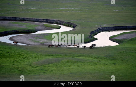 Hohhot. 24th July, 2015. Photo taken on July 24, 2015 shows the scenery of a prairie in East Ujimqin Banner, north China's Inner Mongolia Autonomous Region. © Ren Junchuan/Xinhua/Alamy Live News Stock Photo