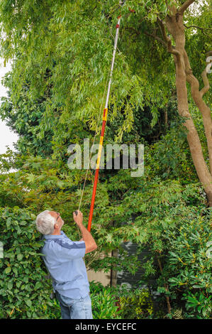 Long handled tree lopper. Stock Photo
