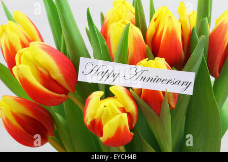 Happy Anniversary card with colorful tulips Stock Photo