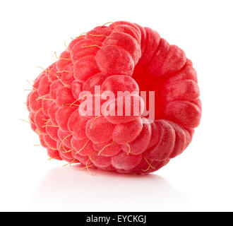 raspberry isolated on the white background. Stock Photo