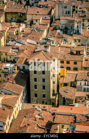 Terracotta rooftops of traditional Florentine buildings. Florence, italy. Stock Photo