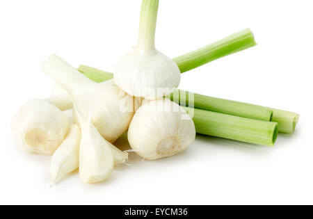 young garlics isolated on the white background. Stock Photo