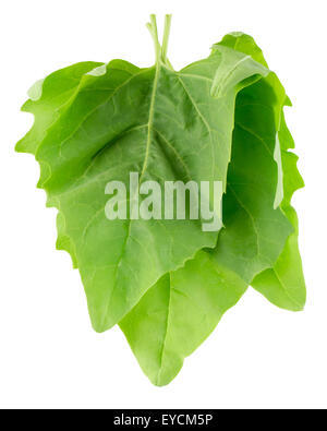 spinach leaves isolated on the white background Stock Photo - Alamy