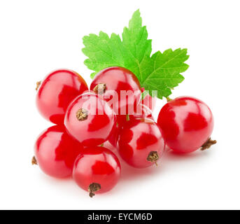 red currants isolated on the white background. Stock Photo