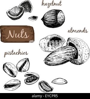 Nuts. Set of illustrations. Stock Vector