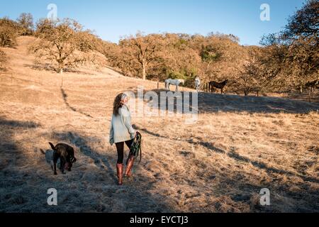 Young woman and dog walking through field carrying horse tack Stock Photo