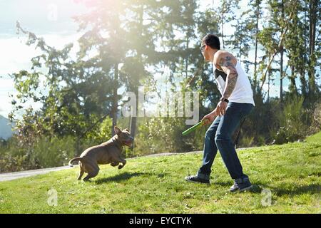 Young man throwing stick for dog in park Stock Photo