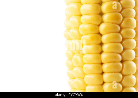 fresh corn ear isolated on the white background. Stock Photo