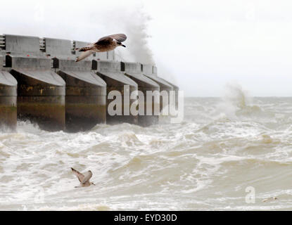 Brighton, East Sussex, UK. 27th July, 2015. Strong wind and rough sea on the South Coast Stock Photo