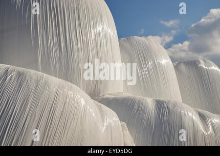Hay bales wrapped in plastic Stock Photo