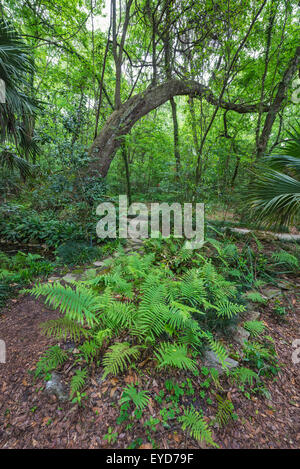 Annual Spring Garden Festival at Kanapaha Botanical Gardens in Gainesville, Florida. Stock Photo