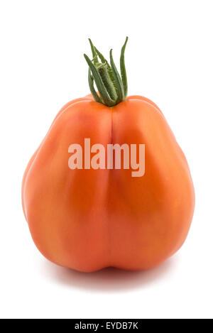 Red Beefsteak tomato isolated on white Stock Photo