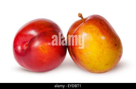 Two yellow and red plum near isolated on white background Stock Photo