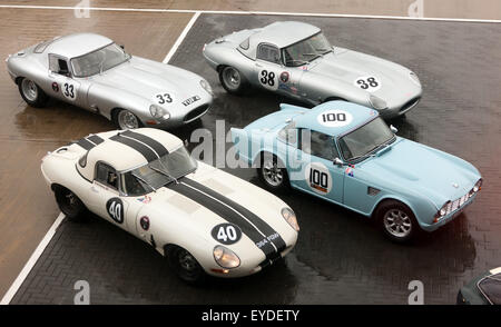 Classic GT Cars (Pre 1966), line up in the international paddock for a qualifying session for the international Trophy, Stock Photo