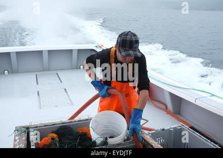 Lobster fishermen in Cape Breton, Nova Scotia. Stock Photo