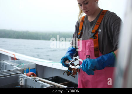 Lobster fishermen in Cape Breton, Nova Scotia. Stock Photo