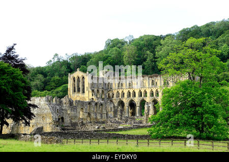 Rievaulx Abbey, Medieval Cistercian monastery, monastic ruins, English monasteries, abbeys, Rye Valley, Yorkshire, England UK Stock Photo