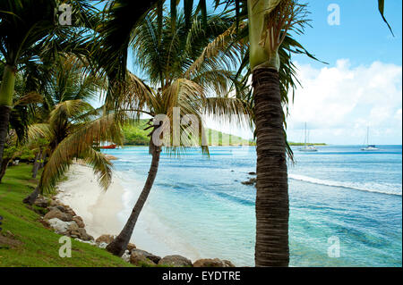 Beach In Mustique Island, St Vincent And The Grenadines, West Indies Stock Photo