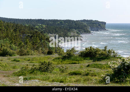 Cliffs of Höglind near Visby, Isle of Gotland, Sweden Stock Photo