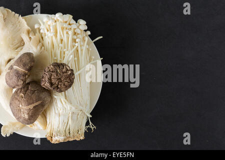 Various kinds of mushroom in a plate on black background. Stock Photo