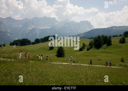 Hikers follow a trail route over grassland in the Pralongià above San Cassiano-St. Kassian in the Dolomites, south Tyrol, northern Italy. In winter, the Pralongià meadows are the heart of Alta Badia’s skiing area. Stock Photo