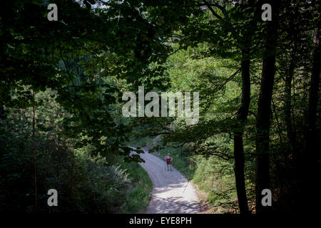 A lone female walker on a path is rural Italy, near Bozen-Bolzano, south Tyrol. Stock Photo