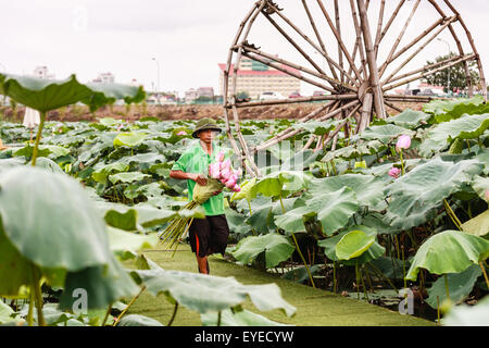 Bar garden near West lake in Hanoi, Vietnam on July 25, 2015 Stock Photo