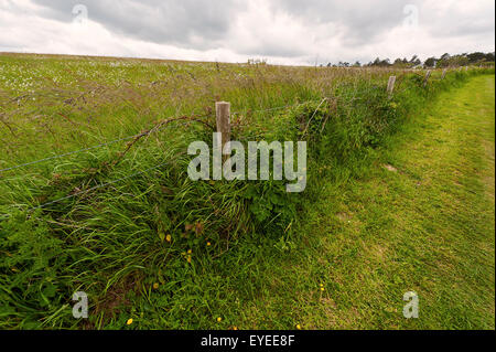 Countryside in Normandy, France Stock Photo