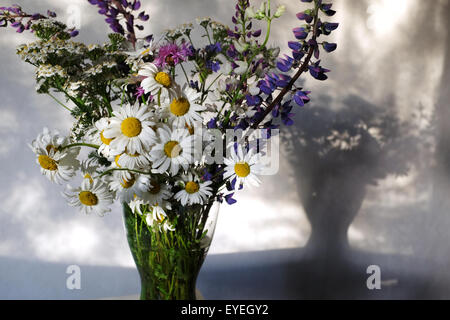 pleven flowers, lupines and daisies in a glass vase Stock Photo