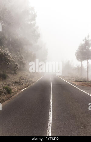 empty road in thick fog - road to nowhere Stock Photo