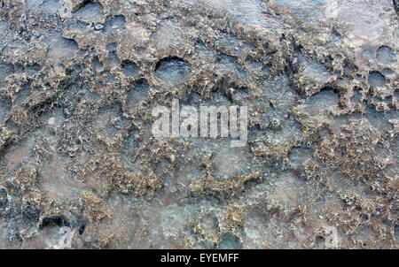 Wet the stone slab in the background Stock Photo
