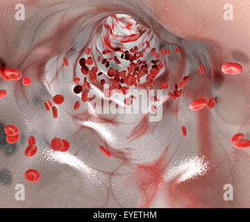 3d Section of a vein and passage of red blood cells Red blood cells in a blood vessel Stock Photo