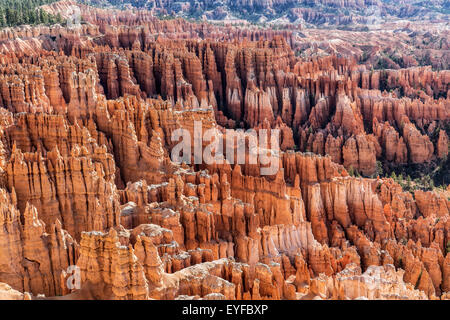 Bryce Canyon National Park, Utah Stock Photo