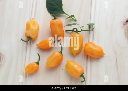 Habanero chillies on a wooden board Stock Photo