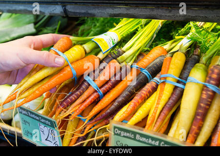 Man holding carrot in supermarket Stock Photo