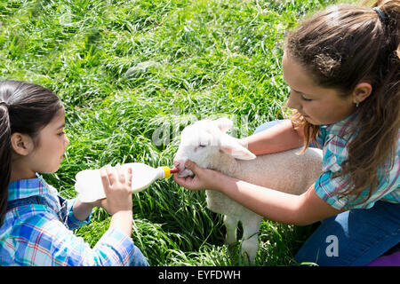 Two girls (6-7, 12-13) feeding lamb Stock Photo