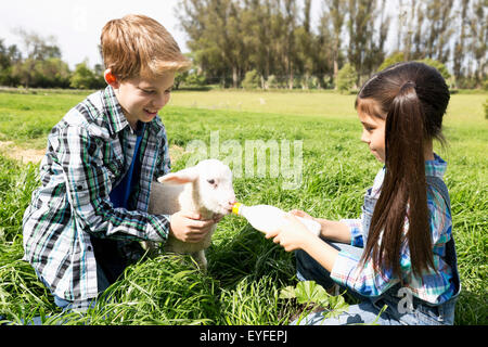 Girl (6-7) and boy (10-11) feeding lamb Stock Photo