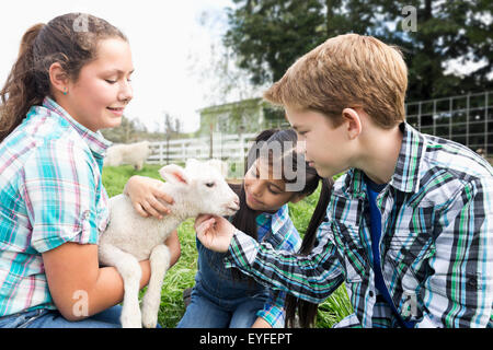 Girls (6-7, 12-13) and boy (10-11) stroking lamb