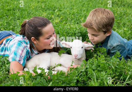 Girl (12-13) and boy (10-11) taking care of lamb Stock Photo