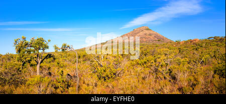 Bushland around Frenchman Peak hill in Cape Le Grand National Park Stock Photo