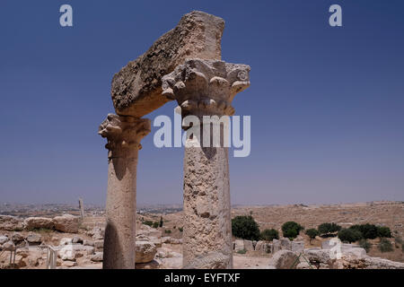 Columns with elaborately carved capital from Roman-Byzantine era 5th-8th century CE in Susya or Susiya archeological site South Hebron hills Israel Stock Photo