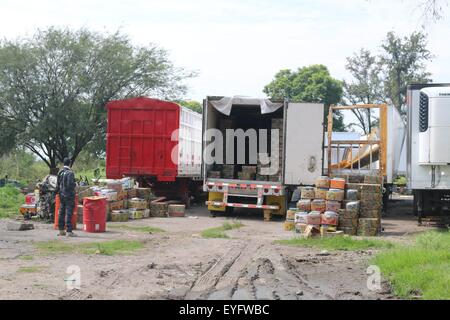 Jalisco, Mexico. 28th July, 2015. A security man guards seized marijuana in a truck in Tlajomulco de Zuniga, Jalisco state, Mexico, on July 28, 2015. The Republic's Attorney General of Mexico reported on Tuesday the confiscation of over five tons of marijuana in Tlajomulco de Zuniga municipality, Jalisco state. © NOTIMEX/Xinhua/Alamy Live News Stock Photo