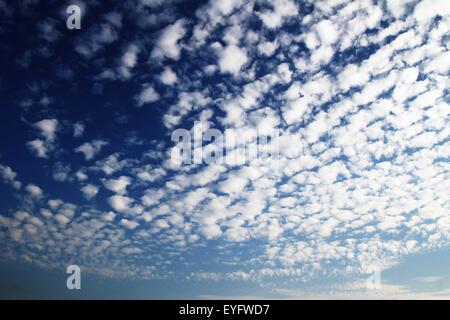 (150729) -- XIAMEN, July 29, 2015 (Xinhua) -- Photo taken on July 28, 2015 shows clouds over Xiamen, southeast China's Fujian Province. (Xinhua/Zeng Demeng) (hgh/zwx) Stock Photo