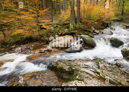 Mountain stream Ilse in autumn, Ilse valley, Harz, Saxony-Anhalt, Germany Stock Photo