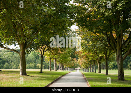 Autumn at Wollaton Park in Nottingham, Nottinghamshire England UK Stock Photo