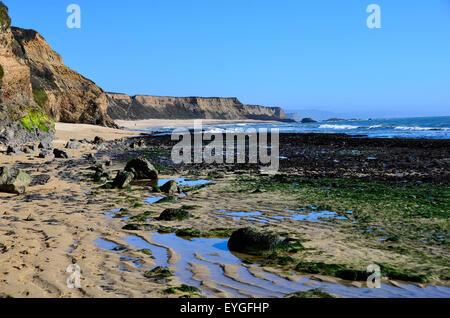 Tide Pools in NorCal Stock Photo