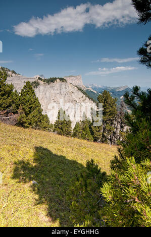 View of highlands in Vercors Regional Park, with the Mount Aiguille in the background. Isere. French Alps. France. Stock Photo